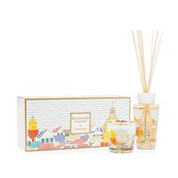Baobab My First Baobab À Saint Tropez Giftbox