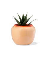 HEMA Bloempot 9x7x7.4cm Keramiek Perzik (perzik)