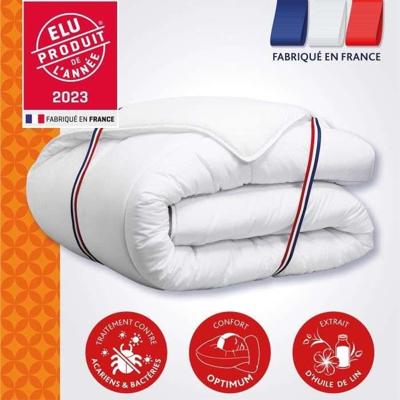 Dekbed 200x200 cm DODO CHAMPS DE LIN - Warm - 450G/m² - Dekbed voor 1-2 personen - Zacht en Warm - Anti-mijt Antibacterieel - Wit