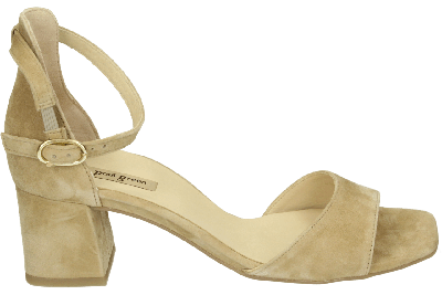 Paul Green 6140 - alle