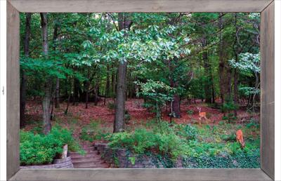 Tuindoek lijst hout bos hertjes 210x140cm - Customize it