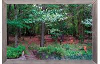 Tuindoek lijst hout bos hertjes 210x140cm - Customize it