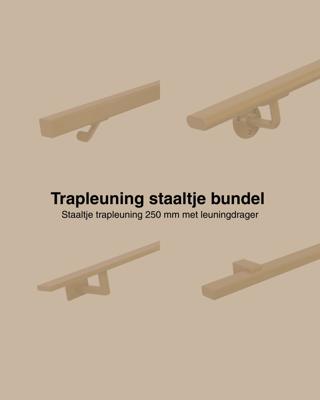 Set staaltjes trapleuningen goud