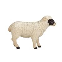 Mojo farmland zwartkopschaap ooi 387058