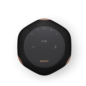 Sony SRSRA3000B.CEL draadloze multiroom speaker (zwart)
