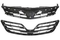 Radiateurgrille 6502078116996P