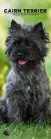 Cairn Terrier Slimline Kalender 2026