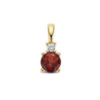 14K Geelgouden Hanger met Januari Geboortesteen & Diamant 0.02ct - 10,5mm