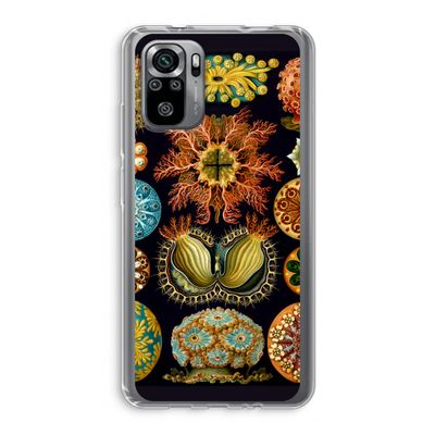 Haeckel Ascidiae: Xiaomi Redmi Note 10S Transparant Hoesje