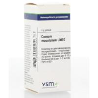 Conium maculatum LM30 4 Gram