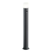 Trio Staande lampHoosic met bewegingsmelder - 422260142