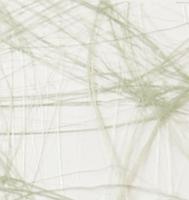 Vaessen Creative • sizoweb 5mx30cm in koker mosgroen