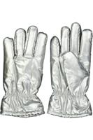Handschoenen - Zilver
