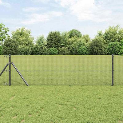 Gelaste draadhek Grijs 0.8 x 25 m Staal
