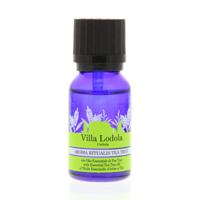 Aroma Ritualis Eco-Organic Essential Tea Tree Oil Aroma Ritualis Eco-Organic Essential Tea Tree Oil