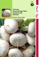 Zaden Rapen Platte Witte Mei Hortitops - Hortitops