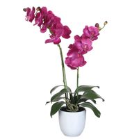 Mica Decorations Orchidee bloem kunstplant - roze - H66 x B38 cm - Kunstplanten