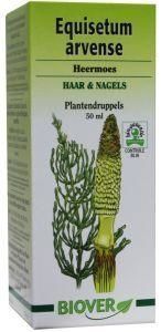 Equisetum arvense tinctuur bio