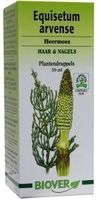 Equisetum arvense tinctuur bio