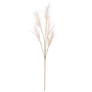 Pluimgras losse steel/tak - meerdere stengels - creme wit - 98 cm - Decoratie kunst pluimen