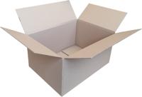 25 Vouwdozen 430x310x220mm bruin enkelgolf 25 Vouwdozen 430x310x220mm bruin enkelgolf