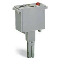WAGO 280-803/281-413 LED-module Grijs 50 stuk(s)