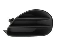 Ventilatiegrille, bumper 5510008155995PP