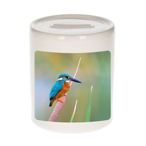 Foto ijsvogel spaarpot 9 cm - Cadeau vogels liefhebber