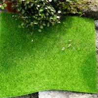 Mini Toy House imitatie accessoires tuin valse mos kunstgras grootte: 49 x 70cm Mini Toy House imitatie accessoires tuin valse mos kunstgras grootte: 49 x 70cm