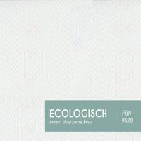 Ekotex Ecologisch Fijn # 9520 (155 gram) - thumbnail