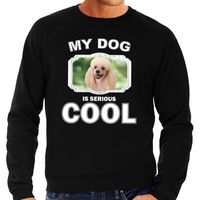 Poedel honden sweater / trui my dog is serious cool zwart voor heren - thumbnail