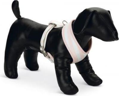 BZ PUPPY BORSTTUIG FILANA S RZE