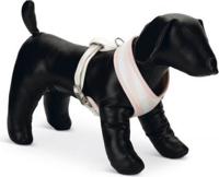 BZ PUPPY BORSTTUIG FILANA S RZE