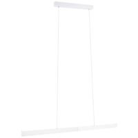 Paulmann PAULMANN 79889 LED-hanglamp LED 36 W Wit (mat)