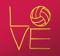 Sticker Love Volleybal