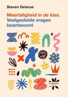 Meertaligheid in de klas - Steven Delarue - ebook