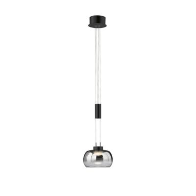 Fischer & Honsel HanglampArosa zwart - 60986