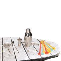 RVS cocktailshaker set 5-delig met extra stampers