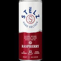 STËLZ Hard Seltzer Raspberry 250ML bij Jumbo
