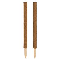 2x stuks plantenstok kokos 60 cm - kokosvezels - plantensteun / tonkinstokken