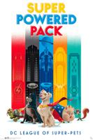 Poster DC Comics League of Superpets Super Power 61x91,5cm