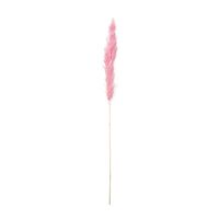Pampas - oud roze - 115 cm