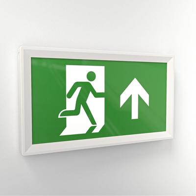 Macer - LED Noodverlichting met Accu - Opbouw - IP20 voor binnen - 3,5 W 100 Lumen - 3 uur Noodaccu - Incl. pictogram voor vluchtwegaanduiding