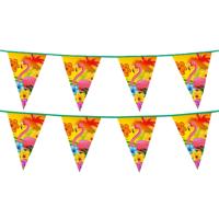 Boland Vlaggenlijn Hawaii - 2x - 6 meter - kunststof - tropisch thema - vlaggetjes