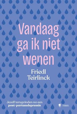 Vandaag ga ik niet wenen - Friedl Teirlinck - ebook