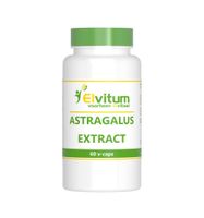 Astragalus extract 500mg