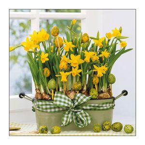 20x Pasen thema tafel servetten narcissen/paaseitjes thema 33 x 33 cm   -