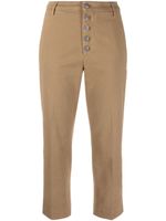 DONDUP pantalon court à coupe droite - Marron