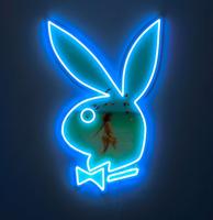 Playboy Summer Bunny - Wandbord Neon - Blauw LED