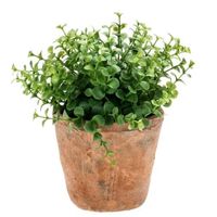 Emerald Kunstplant eucalyptus -  groen - in oud terracotta pot - 20 cm   -